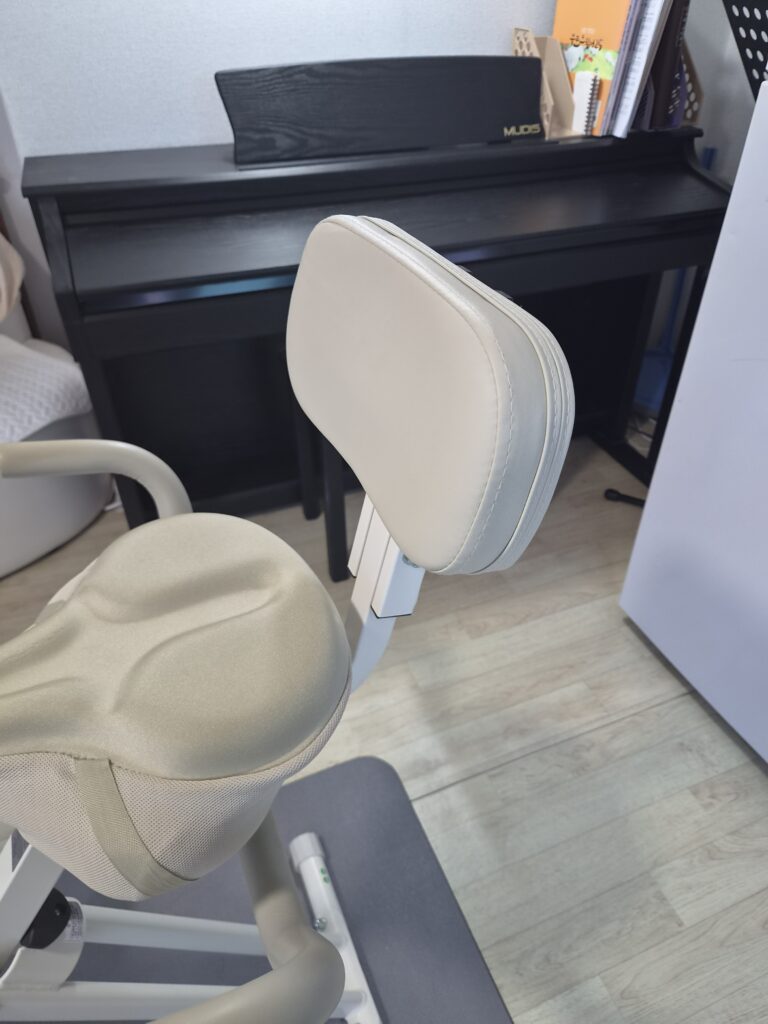 엑사이더 실내자전거 등받이 쿠션 클로즈업